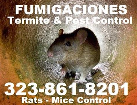 Our exterminators will customize a treatment plan that effectively targets your pest and problem areas. FUMIGACION CUCARACHAS-CHINCHES | Los Angeles | 17320043