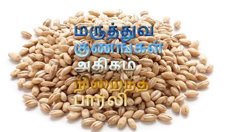Barley is called the king of cereals for all the right reasons. மருத்துவ குணங்கள் அதிகம் நிறைந்த பார்லி Barley Tamil ...