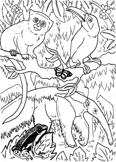 Get crafts, coloring pages, lessons, and more! Amazing Rainforest Animals Coloring Page - Download ...