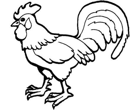 See also 14 rooster images! Rooster Coloring Page at GetColorings.com | Free printable ...