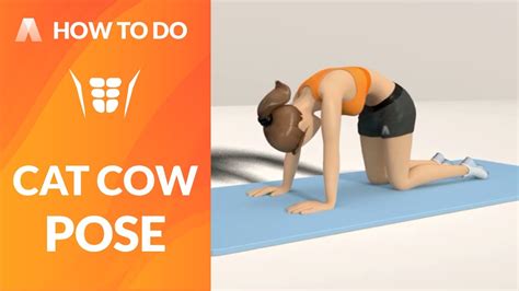 Let your stomach fall towards the floor (increasing the arch in your low back) and allow your shoulder. How to Do: CAT COW POSE - YouTube