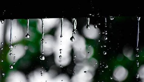 Hujan bulan juni musikalisasi puisi sapardi djoko damono ari reda cover by dwi rahayu octaria. Hujan Bulan Juni (Puisi by Sapardi Djoko Damono)