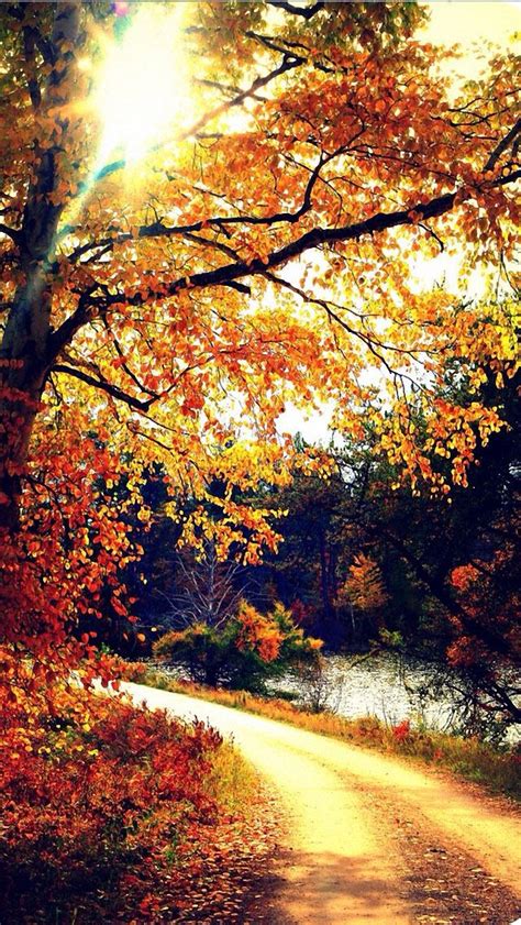 We did not find results for: 28 Breath-Taking and Most Beautiful Fall Wallpaper for ...