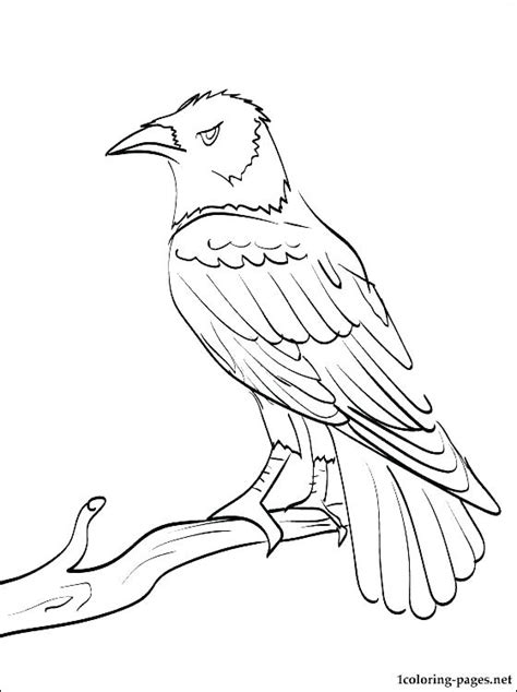 Baltimore Ravens Coloring Pages at GetDrawings | Free download