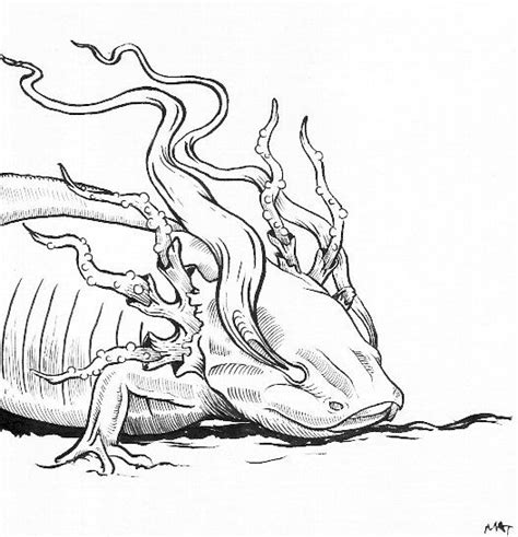 They are easy to care for and make enjoyable pets. Original Ink Drawing Magical Axolotl van Mat1TIllustration op Etsy, £30.00 | Original ink ...