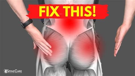 Muscle release techniques for low back pain and hip pain the movement of the lower back is very closely correlated to the upper back, pelvis and hips. How to Fix Muscle Knots in Your Lower Back and Hips - YouTube
