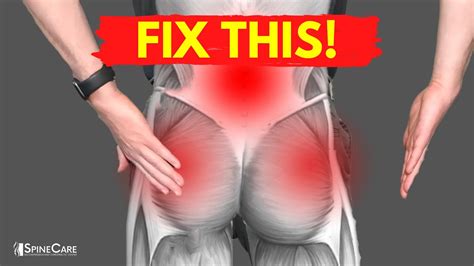 It has been shown that there is a relationship, especially in muscle coordination, between the muscles that stabilize the lumbar spine and the muscles in the lower extremity. How to Fix Muscle Knots in Your Lower Back and Hips - YouTube