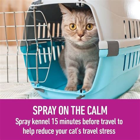 Encourage proper litter box use and keep your home looking and smelling its best with our cat odor and stain removal. Calming Cat Spray #CatSprayingOdorRemoval | Cat Spraying ...