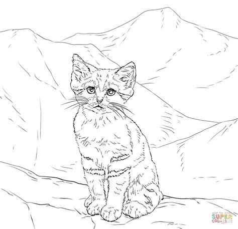 Just click on download button and the image will be saved automatically on the device you are using, click it and download the kitten realistic cat coloring pages. #cat #coloring #hard #pages 2020 | Kitten coloring book ...