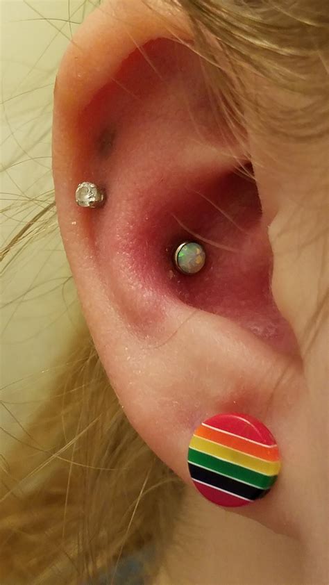 The inner conch piercing trend has really taken off on instagram. Got some new BVLA jewelry for my inner conch piercing ...