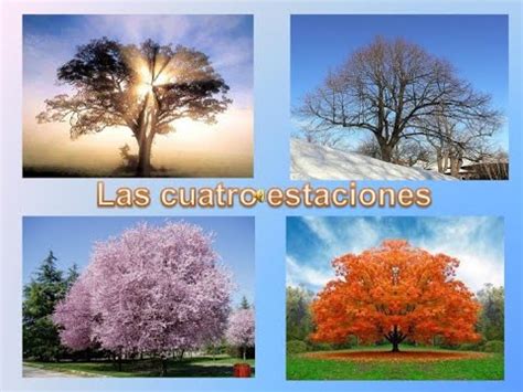 La climatología es una rama de la geografía que estudia el clima a lo largo del tiempo en las distintas regiones del planeta. EL CLIMA - YouTube