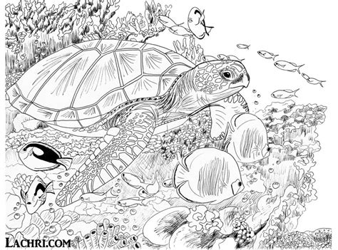 They are often kept as pets due to their adorable and cute appearance. Sea Turtle Coloring Pages For Adults at GetColorings.com ...