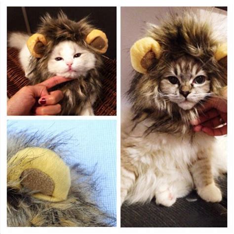 I don't blame lion's mane for this, i have been experiencing depression on and off for some time. new cat winter Lion's Mane Cat Hat wholesale cat's toy ...