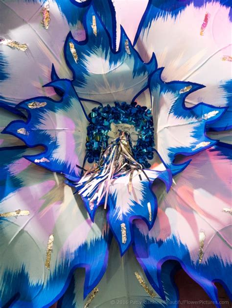 The season of carnival starts on the feast of the epiphany, january 6, and culminates on the day before ash wednesday, otherwise known as fat tuesday. Flowers at Mardi Gras World :: Beautiful Flower Pictures Blog