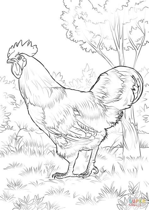 You can make it more festive by using the chinese new year colours of red, orange and pink. Bird coloring pages, Chicken coloring pages, Owl coloring ...