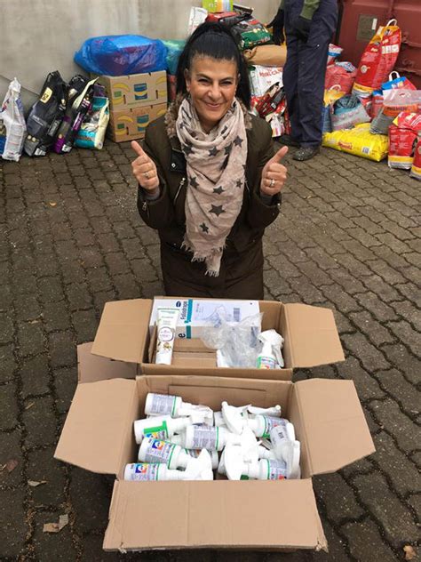 Sie ist wenige hundert meter lang, sie ist eng und hat kurven. Griechenland, Dezember 2016 | Pro Kastrationsprojekt e.V.