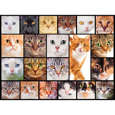 Thousands of free jigsaw puzzle games for pcs and tablets, suitable for both kids welcome to dailyjigsawpuzzles.net, choose one of the fun online jigsaw puzzle games below and relax while putting it back together piece by piece. Buy Cats 300 Large Piece Collage Jigsaw Puzzle