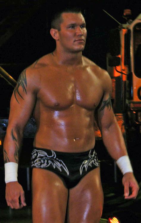 Whoever was following randy orton from day one in wwe would have enjoyed his transformation and at the same time, they also saw the transformation his back tattoo which is of a tribal design is also another tattoo which stands out and is a fan favorite without any doubt as his strong and muscular. RANDY ORTON TATTOOS PICTURES IMAGES PICS PHOTOS OF HIS TATTOOS