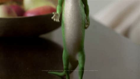 GEICO TV Commercial, 'The Gecko Finds a Pool Party' - iSpot.tv