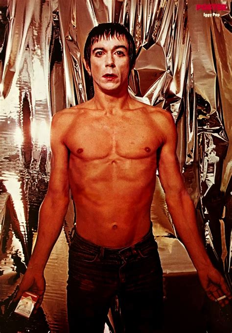 They managed to breakthrough to the mainstream with this song and a few more. Iggy Pop. 1977 | Iggy pop, Iggy, The stooges