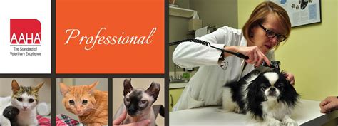 Greeting clients and their pets, answering and returning phone calls and emails and booking appointments are among barbs. Lincoln Park Veterinary Hospital | Animal Hospital in ...