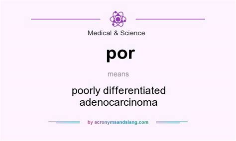 A personal digital assistant (pda), also known as a handheld pc, is a variety mobile device which functions as a personal information manager. por - poorly differentiated adenocarcinoma in Medical ...