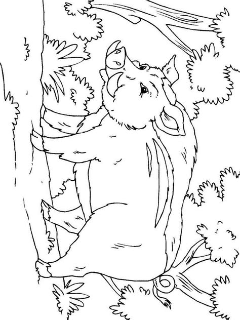 612x792 anguish wild boar coloring pages download free anguish wild boar. Free Boar coloring pages. Download and print Boar coloring ...