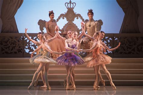 ミハイロフスキー劇場バレエ「眠りの森の美女」 2019/11/23(土)～2019/11/24(日) | チケット GETTIIS