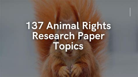Conservation ecology topics for research. 137 Animal Rights Research Paper Topics For Students