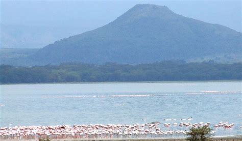 Located on the shores of lake naivasha and 20 minutes' drive from hell's gate national park, lake naivasha resort offers an outdoor pool and a restaurant. Naivasha Kenya. | Nakuru