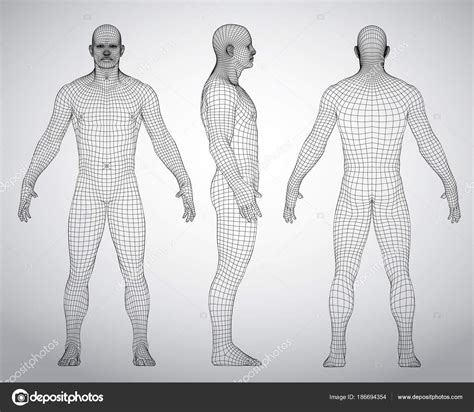 Human body of a man with human body front and back pictures by ankomando 13/617. Images Of A Human Body Front And Back : Clipart - Female ...