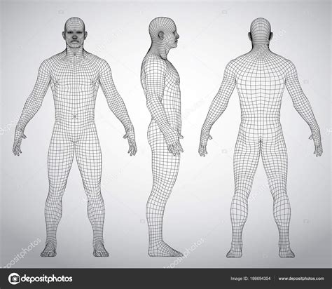 An imaginary vertical line that divides the body. Set of 3D wire frame human body vector illustration. Front, Back, Side view. Polygonal model ...