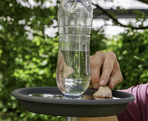 Sie lässt sich ganz einfach selbst herstellen. Vogeltränke bauen: Schritt für Schritt - Mein schöner Garten