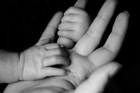 Select from premium surrogacy images of the highest quality. What Are the Pros and Cons of Choosing Surrogacy? | ilaya