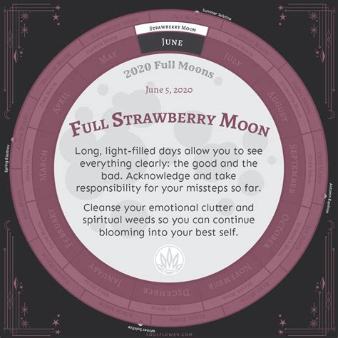 See more ideas about strawberry moons, moon, strawberry. Pin on new era