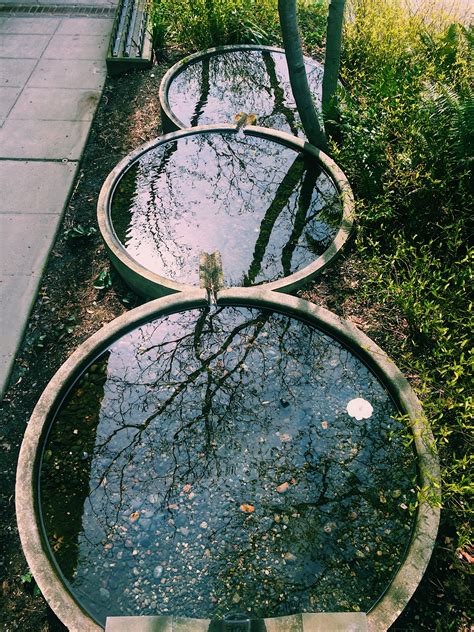 Vine street park has a nice playground that attracts everybody. Growing Vine Street