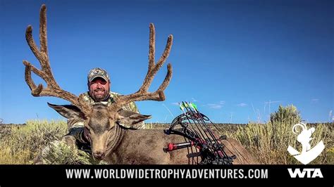 The incredible deer has 28 points on its right side and 19 points on the left. Utah Archery Velvet Mule Deer - YouTube