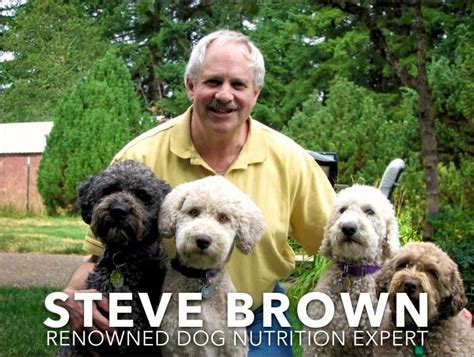 We use only organic vegetables in our natural selections™ meals for dogs, a mix of leafy greens like romaine lettuce and celery, and root vegetables like yellow squash, and zucchini. About Steve Brown the Dog Nutritionist | Darwin's Natural ...