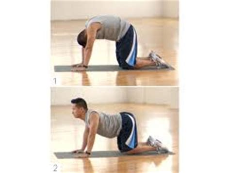 In fact he might do this with each limb. 11 Excellent Cool Down Exercises to Help Your Muscle ...