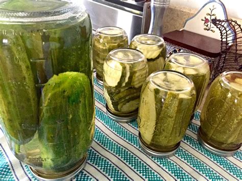 Can you use leftover pickle brine to make a batch of homemade pickles? Tickled To Pickle - Farmhouse 1820