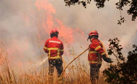 Cinco concelhos algarvios em risco máximo de incêndio. El incendio del Algarve luso avanza descontrolado por ...