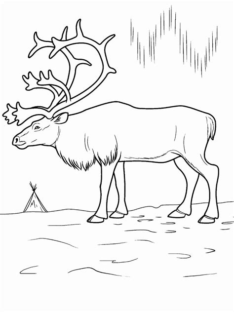 Animals that live in the arctic (either full time or seasonally) are adapted to extreme conditions. Coloring Pages Ecosystem Animals