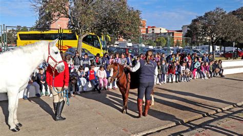 Votos a favor de la candidatura de juan carlos león: Una experiencia equina de lo más productiva