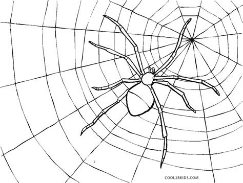 Select from 35870 printable coloring pages of cartoons, animals, nature, bible and many more. Free Printable Spider Coloring Pages For Kids | Cool2bKids