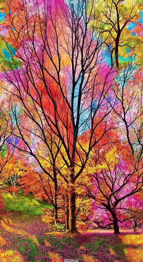 Eine bande von sieben farben, rot, orange, gelb, grün, blau, indigo und violett bogen schön aussehen in den himmel. , #cellphonebackgroundautumn in 2020 | Hintergrundbilder ...