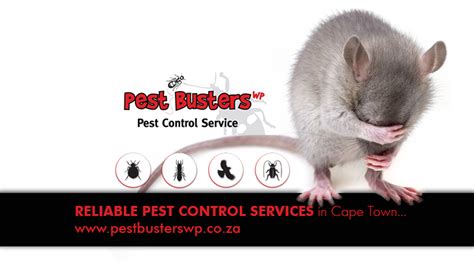 We hope you'll come by and meet our team today. Pest-Busters_FRONT - Parow Directory