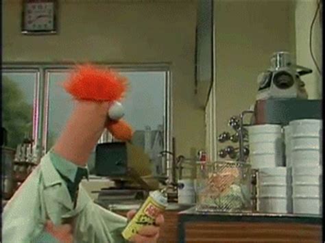 In the kitchen with david happy dance gif. Muppets Archives - Reaction GIFs