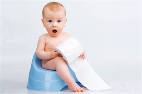 Select from premium niño haciendo pipi of the highest quality. Enseña a tu hijo a usar el baño: consejos para los padres