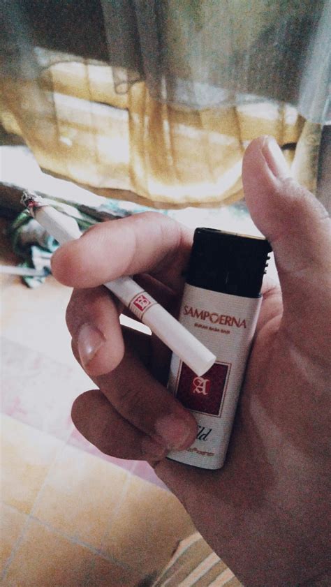 Merek rokok yang satu ini bisa dibilang hampir mirip dengan merek sampoerna mild. Kata Kata Rokok Sampoerna Lucu - KATABAKU