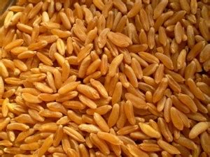 È composto da tre parti distinte: La farina di grano duro: come distinguerla